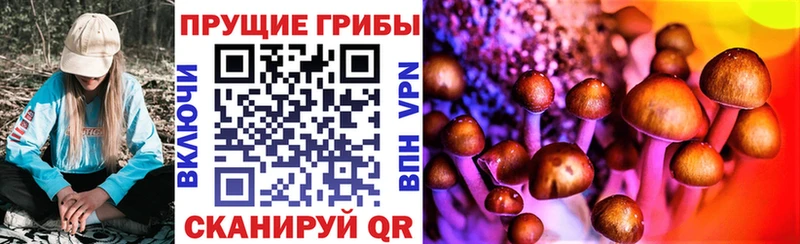 Псилоцибиновые грибы Cubensis  Петровск-Забайкальский 